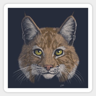 Bobcat Sticker